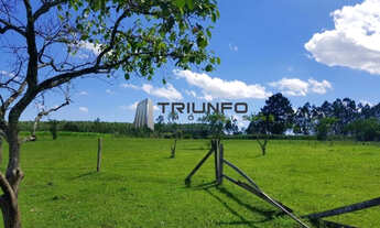 Imagem 6: Sítio com 30.000m² (3ha), totalmente plano, possibilidade de lotear, área urbanizada