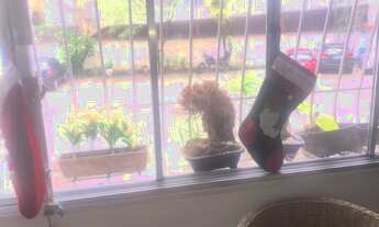 Imagem 6: Amplo apartamento de 3 quartos em prédio centro de terreno perto do metrô