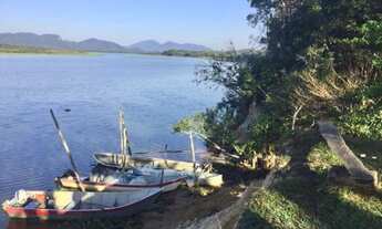 Imagem 3: Fazenda para venda com 8342 metros quadrados em Iguape - Iguape - SP