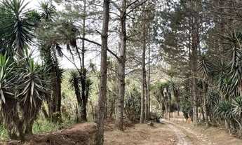 Imagem 7: COTIA - Terreno Padrao - COTIA
