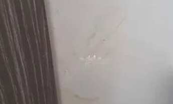 Imagem 2: Apartamento com 2 dormitórios para alugar, 58 m² por R$ 1.200,00/mês - Jardim Paulista - T