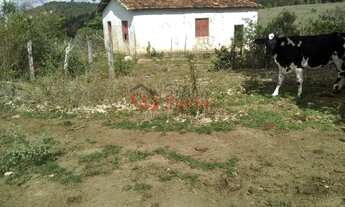 Imagem 6: Vende-se fazenda 148 ha; Aptidão Pecuária em Eunapolis BA