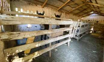 Imagem 6: Chacara em águas lindas