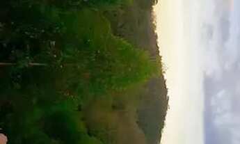 Imagem 3: Linda Chácara - Preço de ocasião