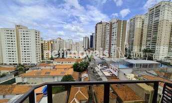Imagem 3: Venda Apartamento 3 quartos Vila Monte Alegre São Paulo