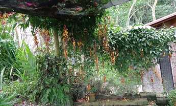 Imagem 6: LAGOA DA CONCEIÇÃO