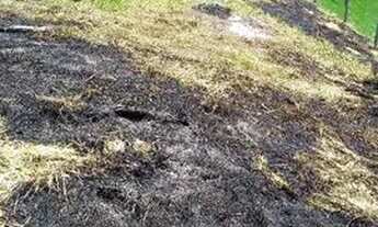 Imagem 3: Terreno (chácara