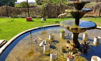 Imagem 5: Chácara em Conjunto Habitacional Jardim das Palmeiras - Ribeirão Preto