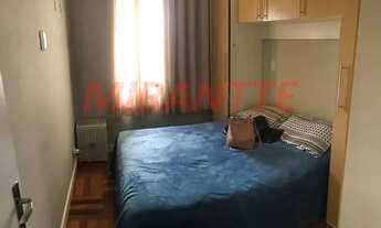 Imagem 7: Lindo apartamento em Vila Amalia