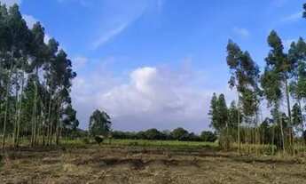 Imagem: Belo terreno 1250m², plano, pronto para