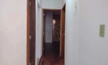 Imagem 7: Locação de Casas / Padrão na cidade de Araraquara