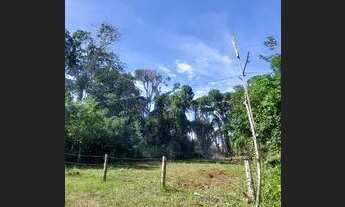 Imagem 2: Vendo terreno na Praia do Ervino, São Francisco do Sul SC