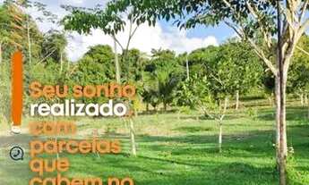 Imagem: Lotes 19x59 no km 19 Iranduba