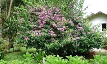 Imagem 4: Oportunidade única em Nova Friburgo. Sítio com.60.000m2. Tel: *