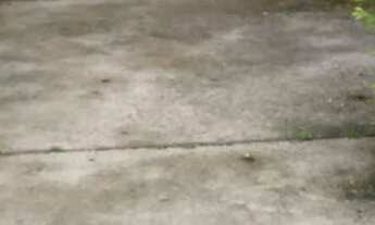 Imagem 7: Vende se Apartamento com 2 dormitórios