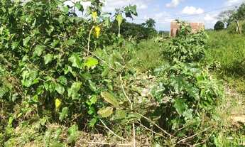 Imagem 6: Repasso esse terreno 8 por 20