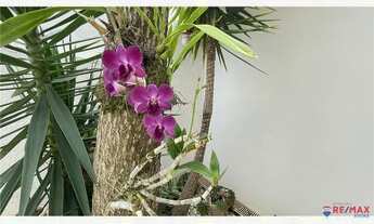 Imagem 7: Linda casa térrea 3 quartos à venda Jardim Santa Rosa