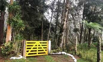 Imagem 7: Oportunidade única em Nova Friburgo. Sítio com.60.000m2. Tel: *