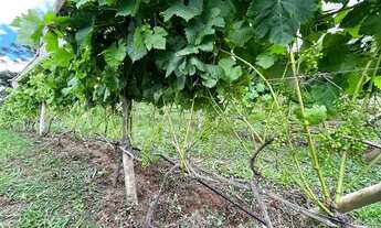 Imagem 6: Quot;Invista em um pedacinho do paraíso em Campos do Jordão!