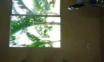 Imagem: Lindo apartamento