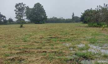 Imagem 5: Propriedade com 6,5 Heketares em rua asfaltada, muita água e com edificações