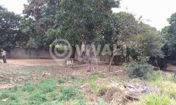 Imagem 5: Chácara - / Rural / Loteamento Santo Antônio