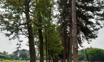 Imagem 3: Jazigo Cemitério de Congonhas com Taxa de Manutenção Antiga
