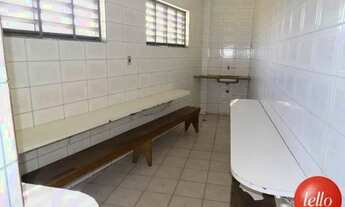 Imagem 4: São Paulo - Galpão/Depósito/Armazém - Cidade Líder