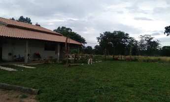 Imagem 3: Sitio de 3,5 Alqueires