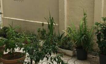 Imagem 5: Sobrado para venda com 250 metros quadrados com 8 quartos em Centro - Balneário Camboriú