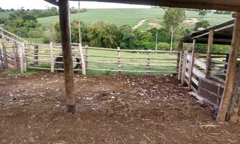 Imagem 6: Lindo sitio com chácara / barracão / poço