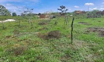 Imagem 4: TERRENO BARREIRNHAS