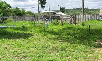 Imagem 6: Vedo excelente fazenda em aldeias altas-MA