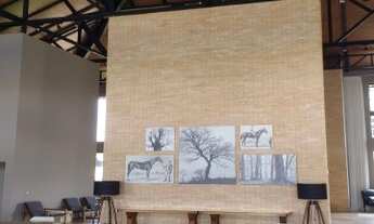 Imagem 6: Terreno - Jaguariuna - Monte Alegre do Sul