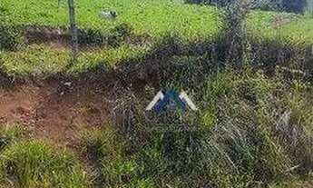 Imagem 7: Fazenda à venda, 102 alqueires por R$ 9.000.000 - Tereza Cristina - Candido de Abreu/PR