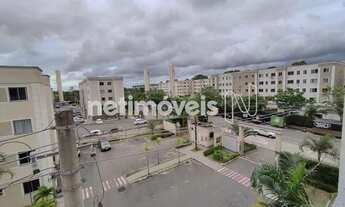 Imagem 3: Locação Apartamento 2 quartos Colina de Laranjeiras Serra