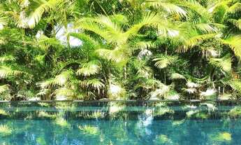 Imagem 3: Mata de São João - Casa Padrão - Praia do Forte