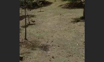 Imagem 2: Sítio ( Presidente Figueiredo ) 33mx700m