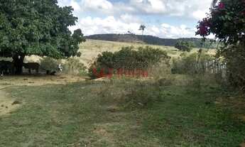 Imagem 2: Vende-se fazenda 148 ha; Aptidão Pecuária em Eunapolis BA