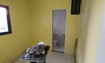 Imagem 7: Saint James Park 66697