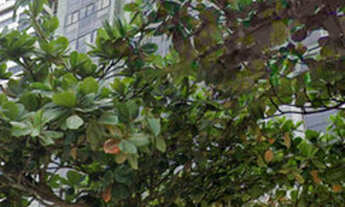 Imagem: Apartamento com 190m², 4 quartos sendo