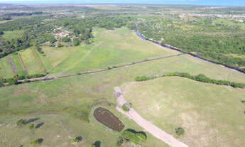 Imagem 5: Chácaras com 20.000 m2 em Setiba/Guarapari - Absoluta Imoveis vende