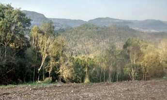 Imagem 3: Sítio com 3ha, sendo 62m de frente por 480m de comprimento. 8km do Centro de Gramado