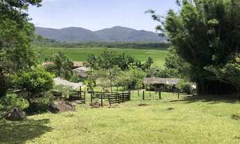 Imagem 4: Sítio com terreno de 62.263,37m² - Pântano do Sul