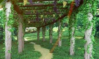 Imagem 3: Terra Santa Condomínio Fechado de Chácaras ( Trindade .Goiás