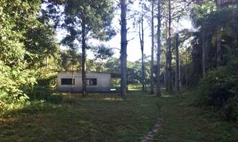 Imagem 6: Fazenda para venda com 8342 metros quadrados em Iguape - Iguape - SP