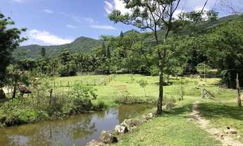 Imagem 2: Sítio com terreno de 62.263,37m² - Pântano do Sul
