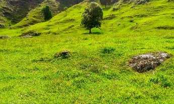 Imagem 14: Fazenda/Sítio/Chácara para venda com 62.500 metros quadrados em Garcia - Angelina - SC