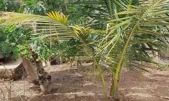 Imagem 4: Terreno com 01 quarto e banheiro.. 13X19m povoado Robalo