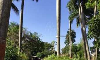 Imagem: Araçatuba - Lote/Terreno - Chácaras TV